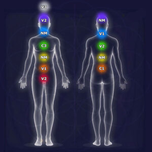 Spiritual Chakra Reading by Shivanti